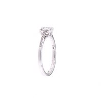 Ringe Crivelli Dame DIAMANTI in Gold Diamante 0.29 Ct 234-3830-10 - 234-3830-10